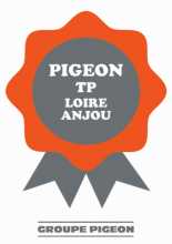 Pigeon TP Loire Anjou 