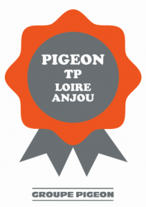 Pigeon TP Loire Anjou