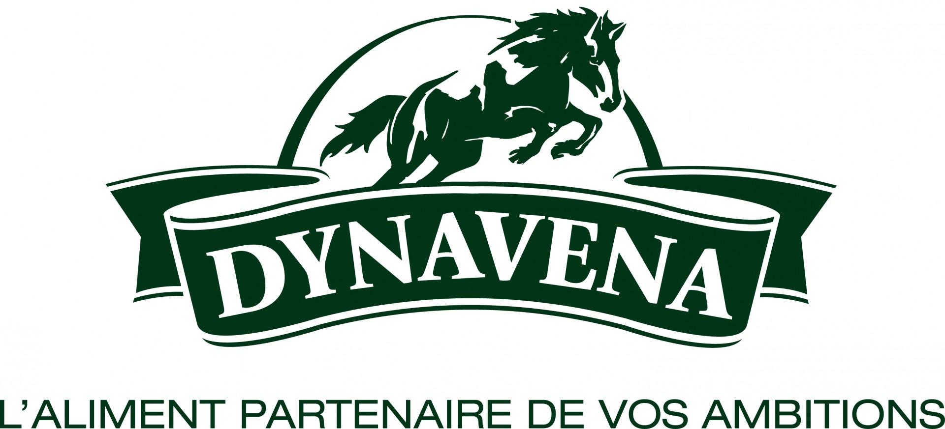 Dynavena